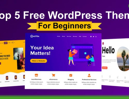 Top 5 Free WordPress Theme For Beginners